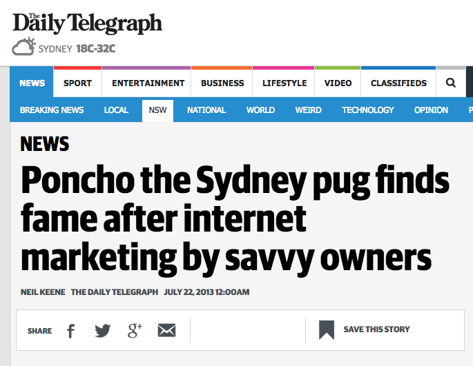 poncho the pug poncho the pug here s a thought poncho the pug poncho the pug here s a thought